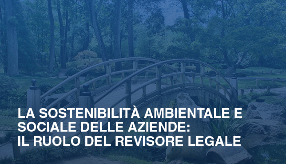 La sostenibilita%CC%80 ambientale e sociale delle aziende il ruolo del Revisore legale 24f1548f