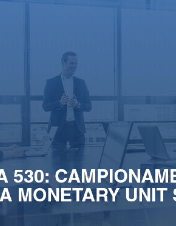 Isa Italia 530 campionamento e tecnica Monetary Unit Sampling a4e73260